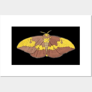 Fun Empire Moth Art Graphic Tee Posters and Art
